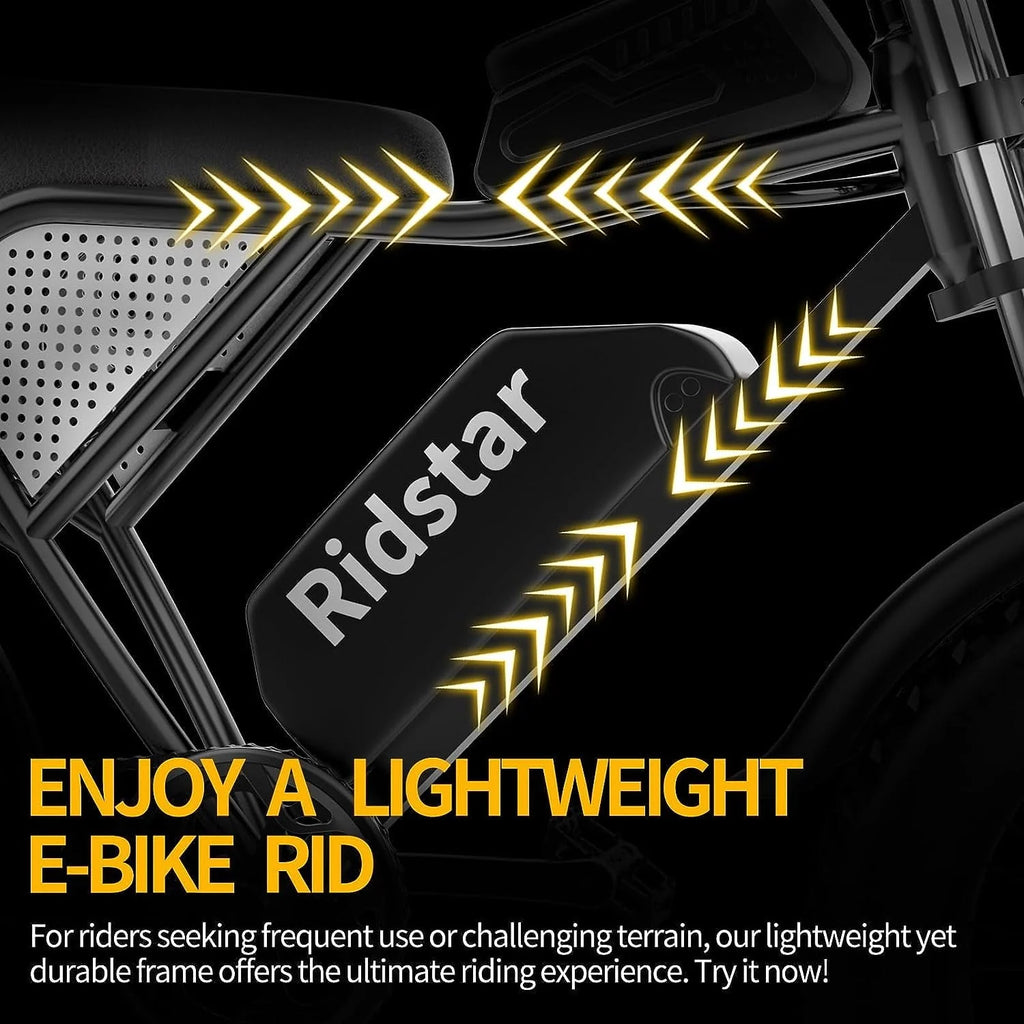 Electric Bike for Adults Ridstar, 20" Fat Tire Electric Motorcycle, 1000W Electric Bike with Removable 48V/20ah Battery E - Bike Shimano 7 Full Suspension Electric Bicycle
