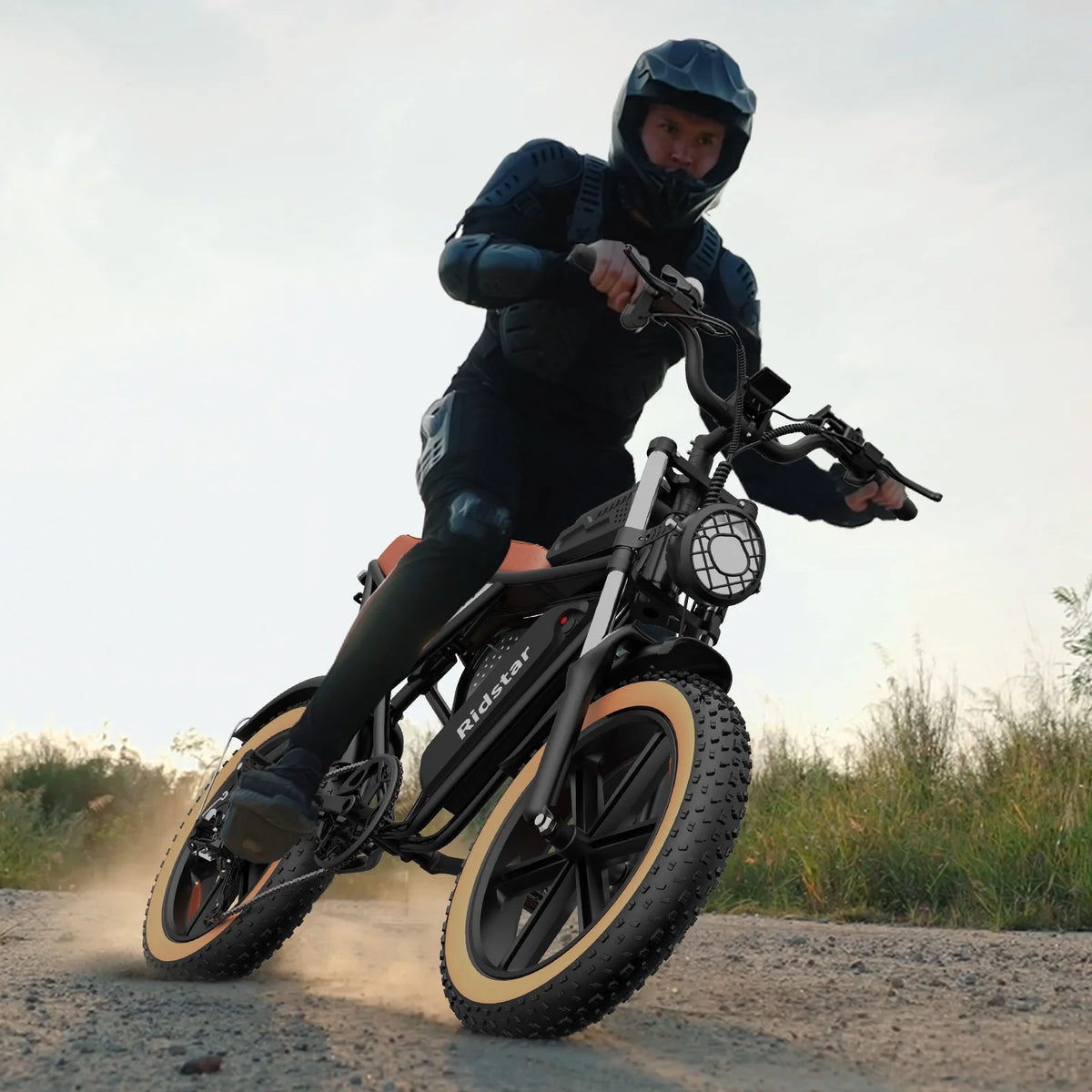 Ridstar Electric Biycle for Adults, 1200W 32MPH, 48V 20AH Electric Dirt Bike, 20" Fat Tire 7 Speed Mountain Bike UL2849