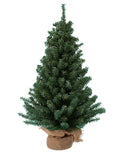 Kurt Adler Christmas Tree 12 inch Mini Pine Tree