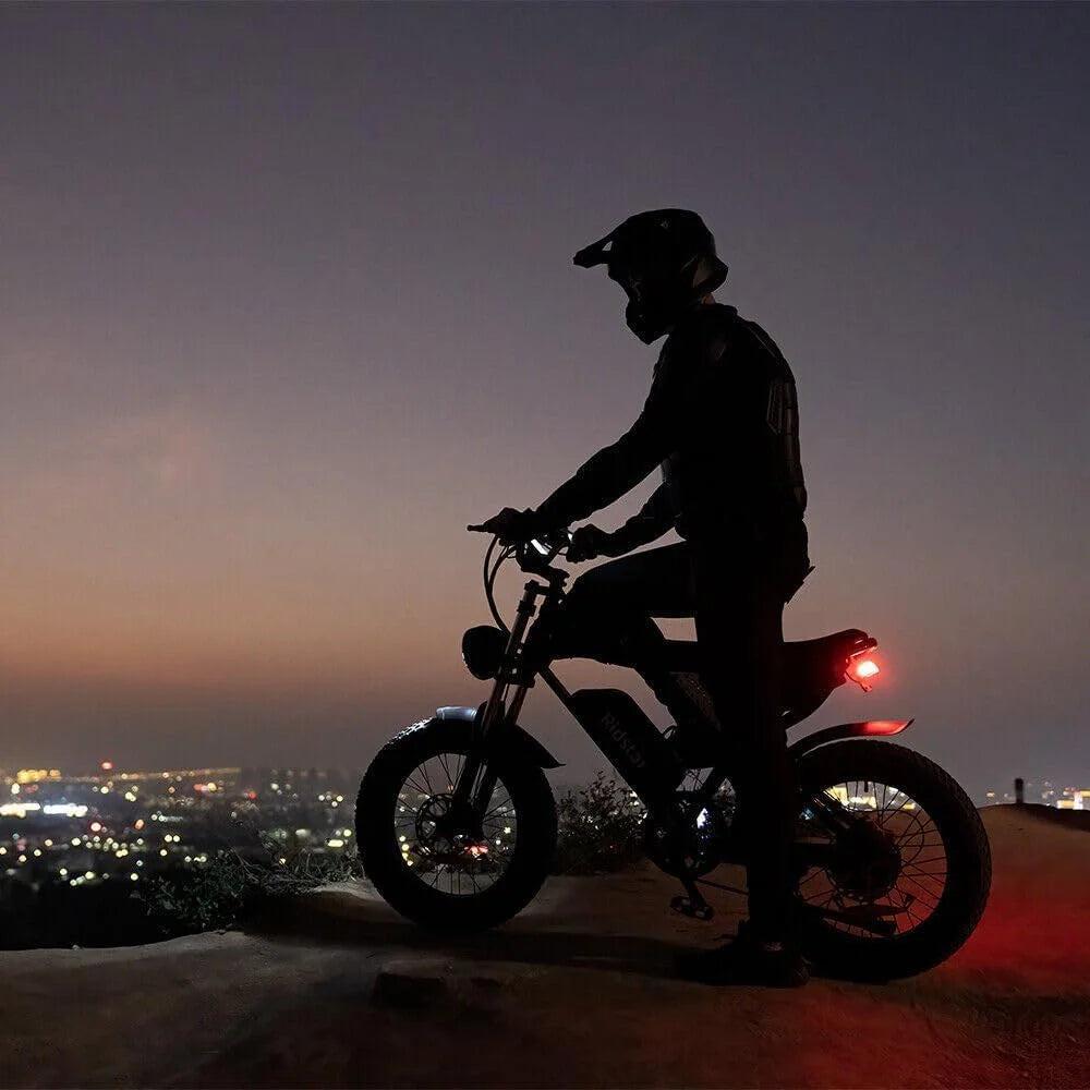 Ridstar Electric Biycle for Adults, 1200W 32MPH, 48V 20AH Electric Dirt Bike, 20" Fat Tire 7 Speed Mountain Bike UL2849