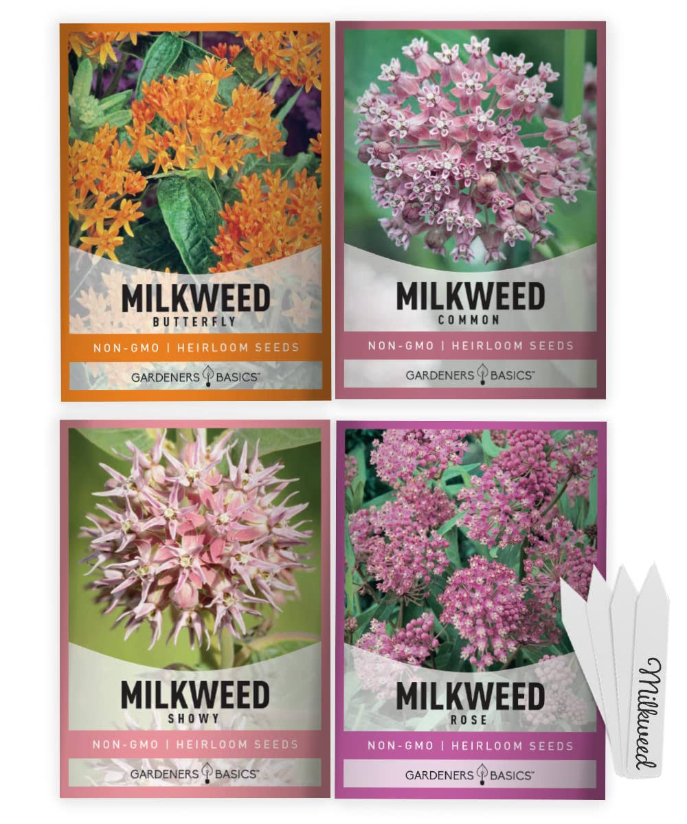 Milkweed Seeds for Monarch Butterflies (4 Variety Pack) Common, Showy, Butterfly and Rose Varieties Attracts Butterflies, Bees and Pollinators