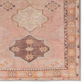 Debary Machine Washable Performance Orange/Pink/Brown Rug Birch Lane Rug Size: Rectangle 4' x 6'