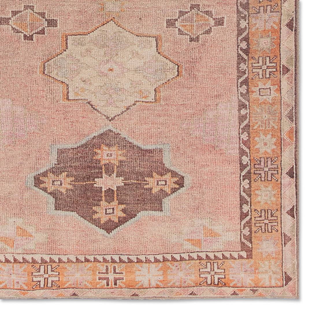 Debary Machine Washable Performance Orange/Pink/Brown Rug Birch Lane Rug Size: Rectangle 4' x 6'