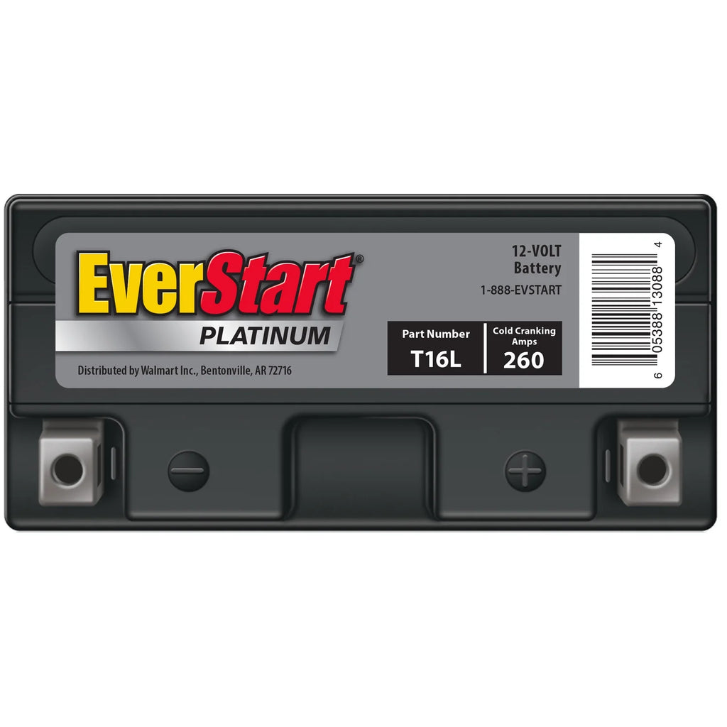 Everstart Platinum AGM Power Sport Battery, Group Size T16L 12 Volt, 260 CCA