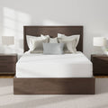 Allerease Platinum Mattress Protector | King
