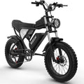 Electric Bike for Adults Ridstar, 20" Fat Tire Electric Motorcycle, 1000W Electric Bike with Removable 48V/20ah Battery E - Bike Shimano 7 Full Suspension Electric Bicycle