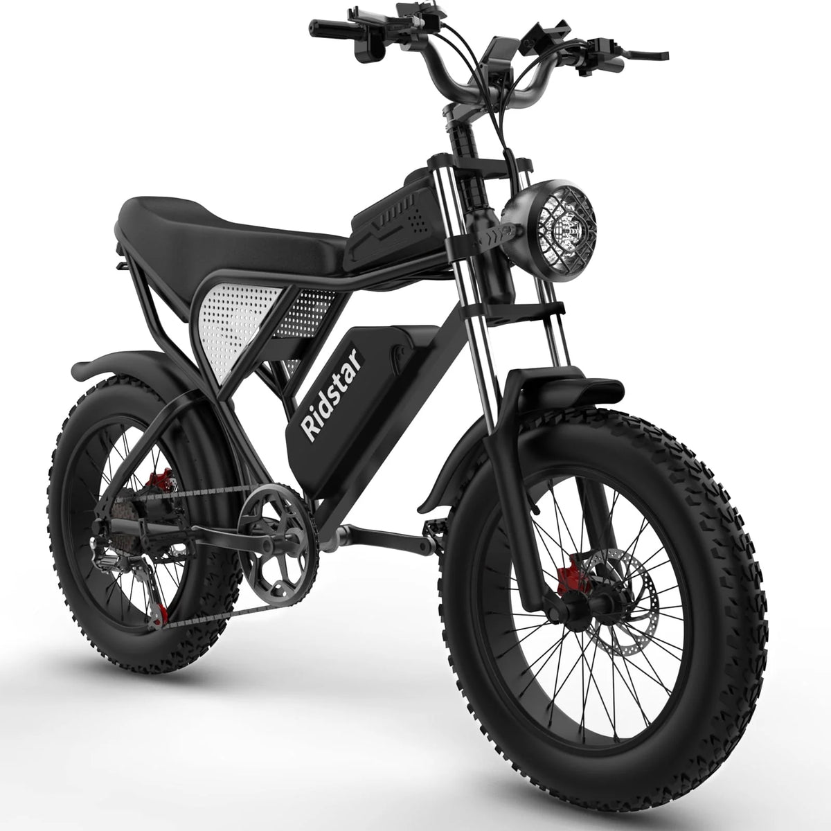 Electric Bike for Adults Ridstar, 20" Fat Tire Electric Motorcycle, 1000W Electric Bike with Removable 48V/20ah Battery E - Bike Shimano 7 Full Suspension Electric Bicycle