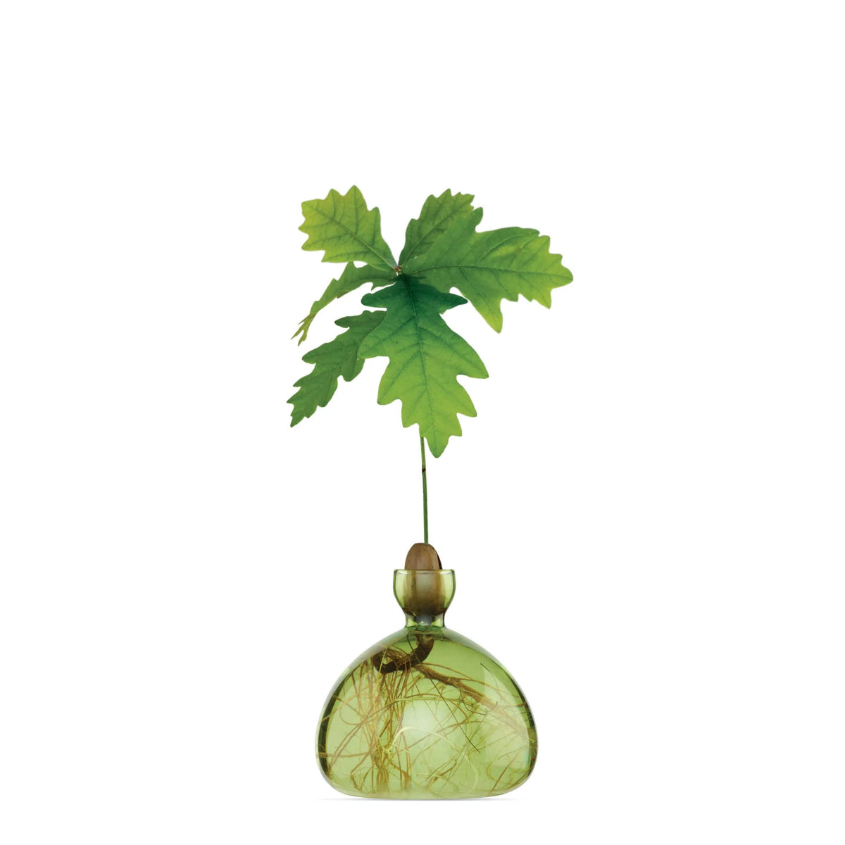 Ilex Studio Acorn Vase | Smoke Grey