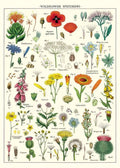 Cavallini & Co. Wrap - Wildflowers