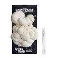 Organic Lion's Mane Mushroom Spray & Grow Kit | North Spore
