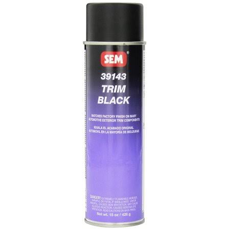 SEM 39143 Trim Black 15 oz. Can