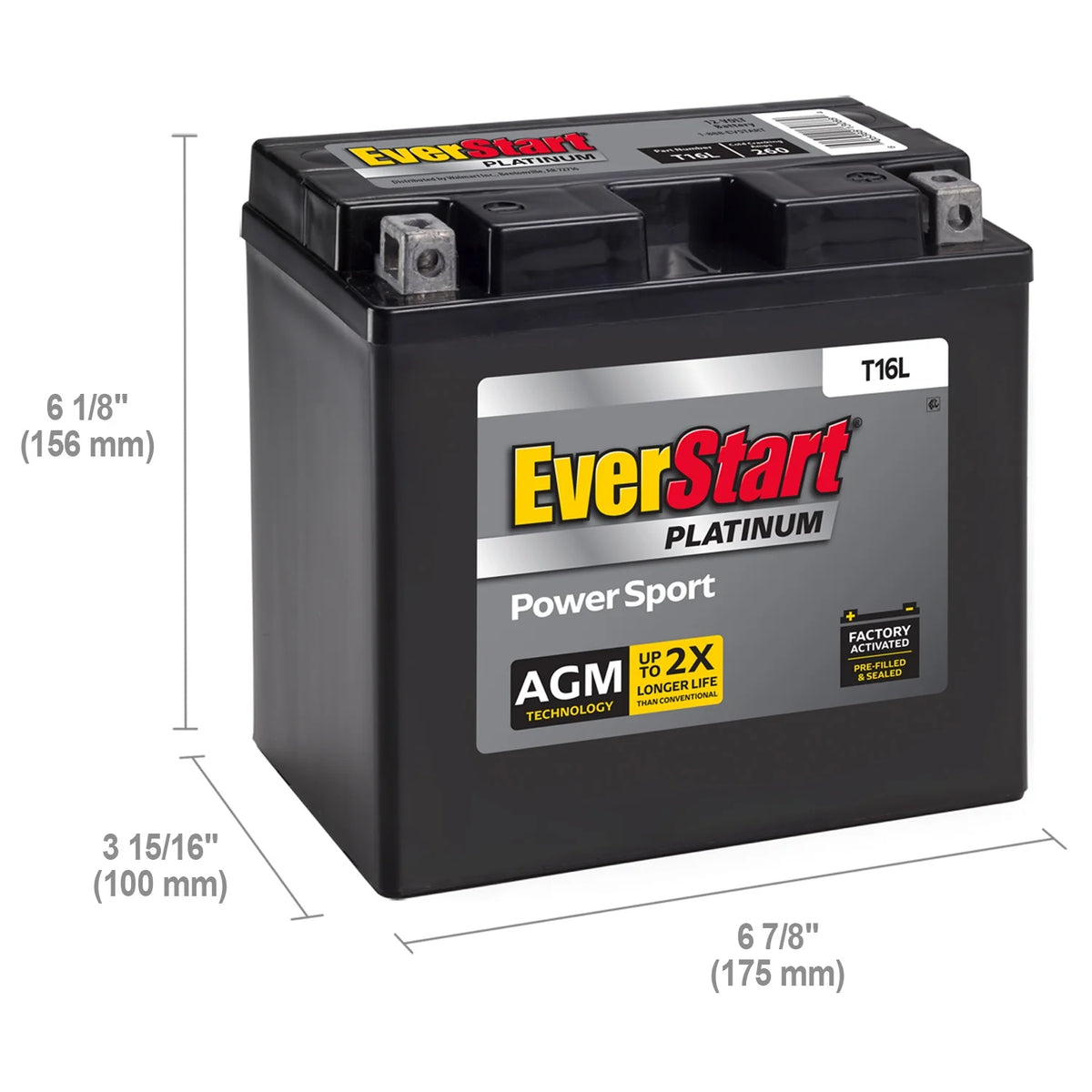 Everstart Platinum AGM Power Sport Battery, Group Size T16L 12 Volt, 260 CCA