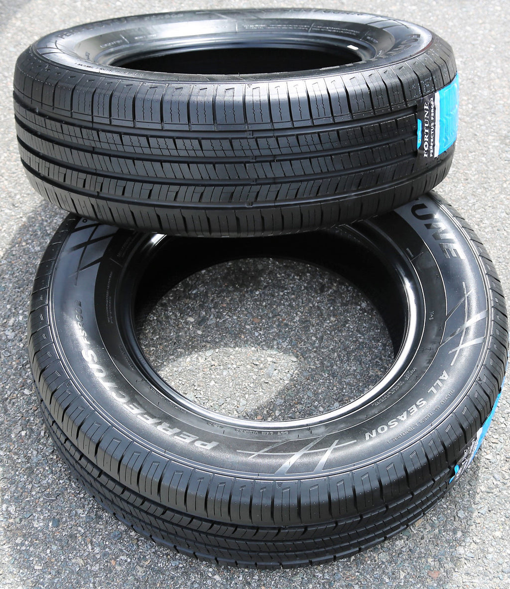 Fortune Perfectus FSR602 All-Season 205/55R16 94V XL Passenger Tire