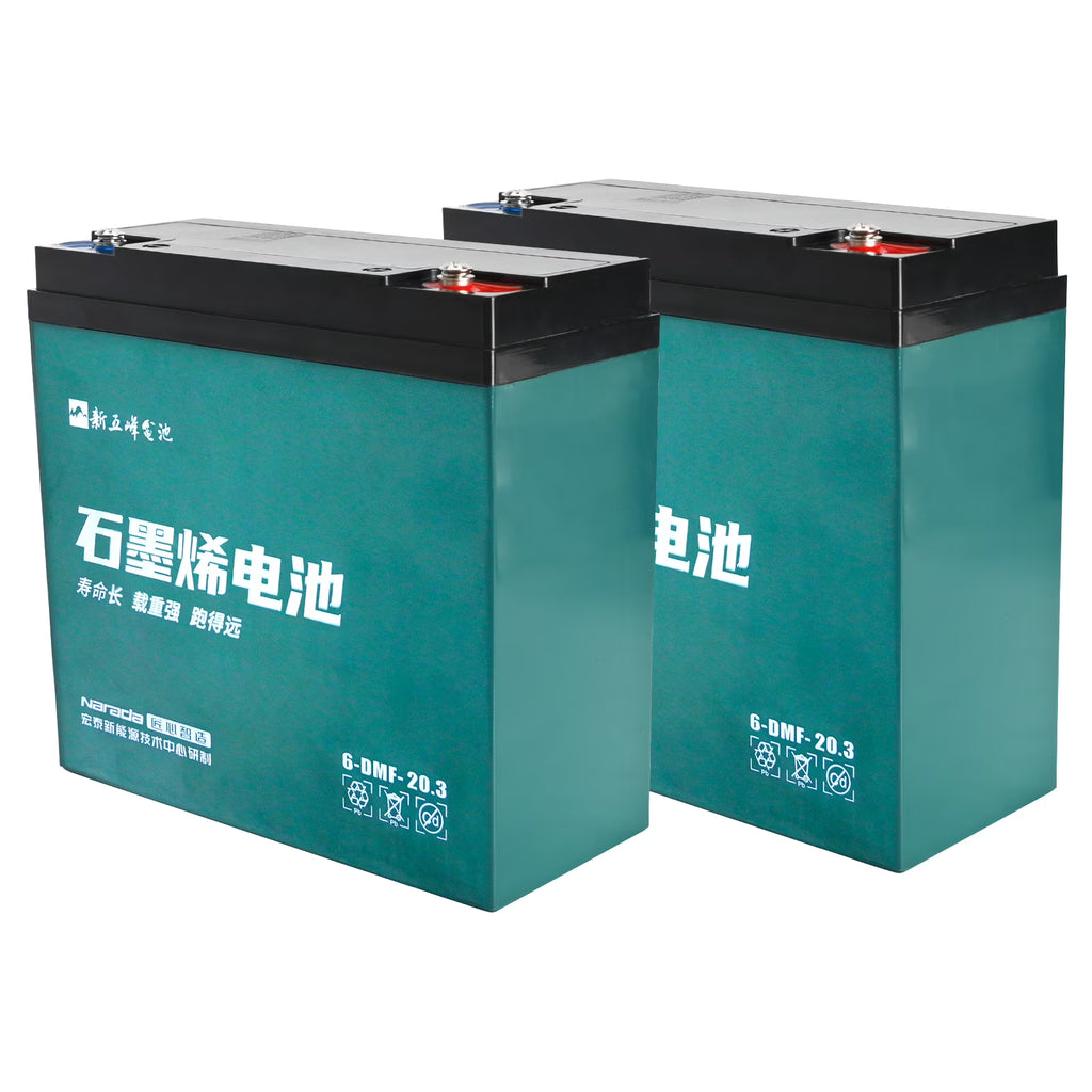 2 Pack 12V 20ah Battery 6 - DMF - 20 Sealed Lead Acid Battery 6 - DZM - 20 for 24V 20ah Mobility Scooter Electric Go Kart E Bike Motorcycle Golf Carts Electric Wheelchair ATV UTV Generator