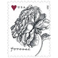 Forever Stamps 2015 Vintage Rose – Wedding Invitation & Love Celebration. First-Class Postage