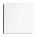 Armstrong Ceilings Washable White 12-in x 12-in White Surface-Mount Ceiling Tile 40-Pack | 231g