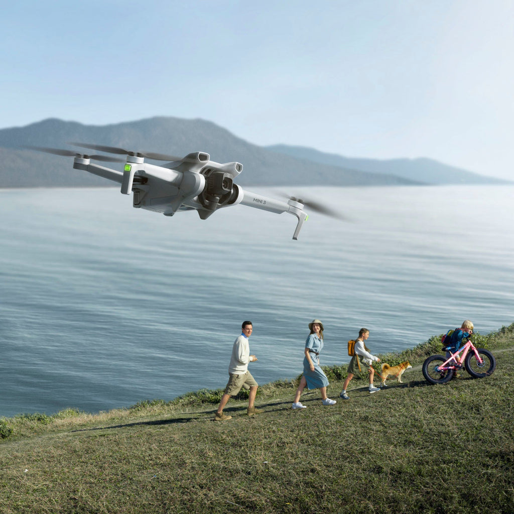 Mini 3 Fly More Combo Drone and Remote Control with Built-in Screen - Gray