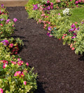 Plow & Hearth Permanent Mulch Pathway