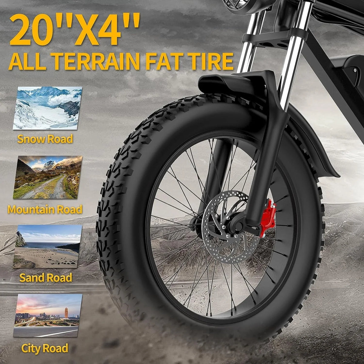 Electric Bike for Adults Ridstar, 20" Fat Tire Electric Motorcycle, 1000W Electric Bike with Removable 48V/20ah Battery E - Bike Shimano 7 Full Suspension Electric Bicycle