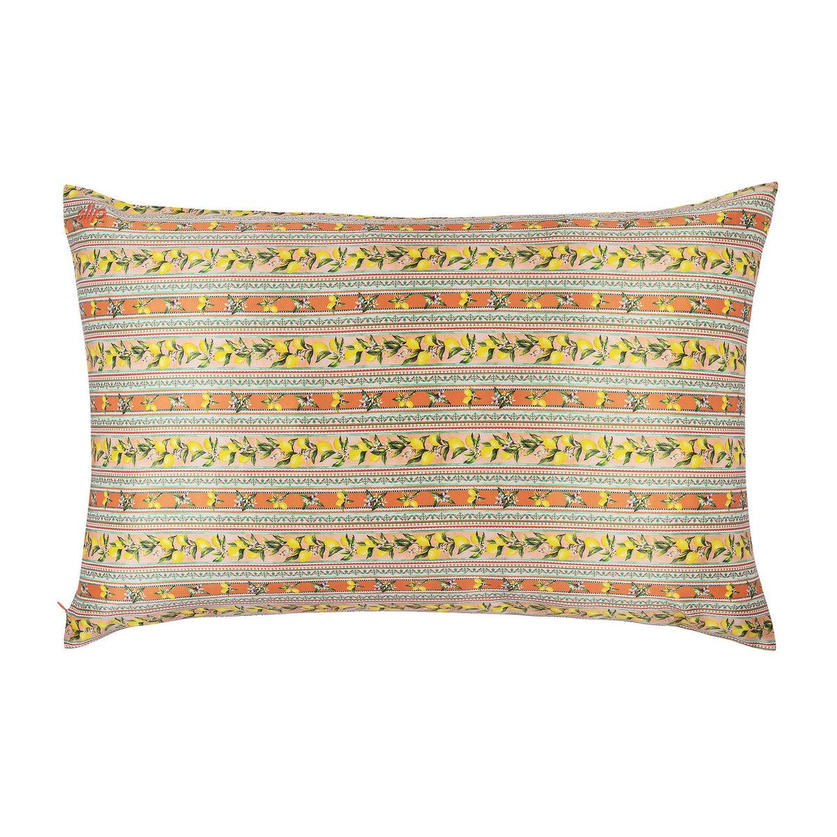 Slip Pure Silk Queen Pillowcase - Portofino